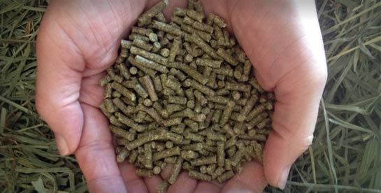Timothy hay and pellets by Small Pet Select