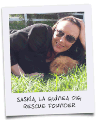 LA Guinea Pig Rescue Founder