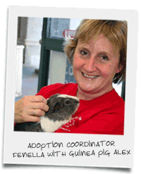 Wee Companions Volunteer Coordinator Fenella and Guinea Pig Alex